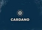 عملة كاردانو: مستقبل البلوكشين الذكي